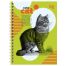 Записная книжка А6 80л., на гребне BG 