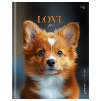 Дневник 1-11 кл. 48л. (твердый) BG 