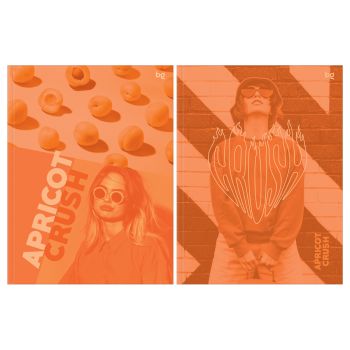 Бизнес-блокнот А5, 64л., ЛАЙТ BG 