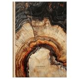 Бизнес-блокнот А5, 64л., евроформат, BG "Древо", матовая ламинация, тиснение фольгой