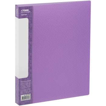 Папка со 100 вкладышами СТАММ 