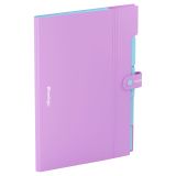 Папка 5 отделений Berlingo "Haze", А4, 600мкм, на кнопке, сиреневая, софт-тач