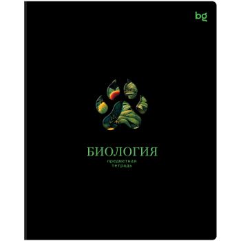 Тетрадь предметная 48л. BG 