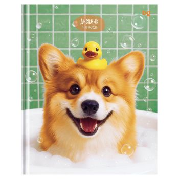 Дневник 1-11 кл. 48л. (твердый) BG 