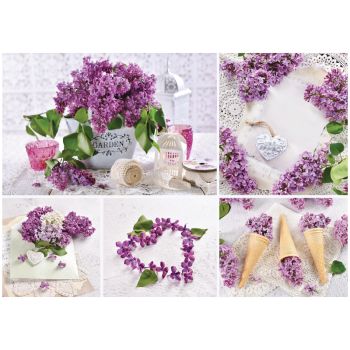 Пазл  1000 эл. ТРИ СОВЫ 