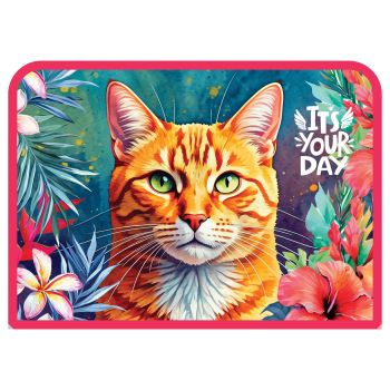 Папка для тетрадей 1 отделение, ArtSpace 