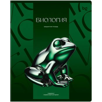 Тетрадь предметная 48л. BG 