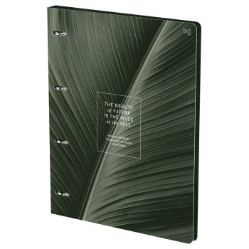 Тетрадь на кольцах А4, 120л., BG 