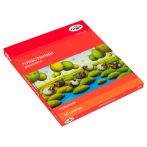 Пластилин Гамма "Мультики", 30 цветов, 600г, со стеком, картон. упаковка