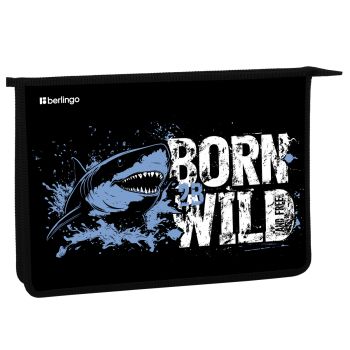 Папка для тетрадей 1 отделение, А4 Berlingo 