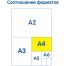 Альбом для рисования 24л., А4, на скрепке Мульти-Пульти 